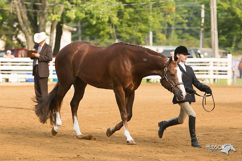 4H-Districts-11_1338.jpg