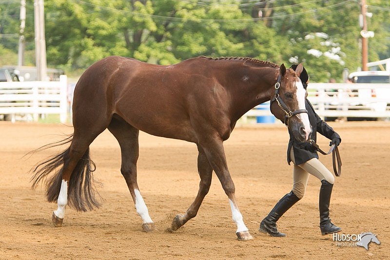 4H-Districts-11_1339.jpg