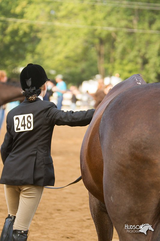 4H-Districts-11_1343.jpg
