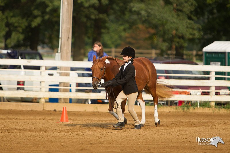 4H-Districts-11_1344.jpg