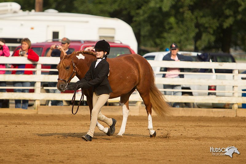 4H-Districts-11_1345.jpg