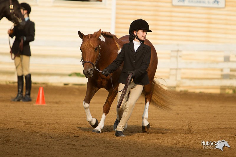 4H-Districts-11_1347.jpg