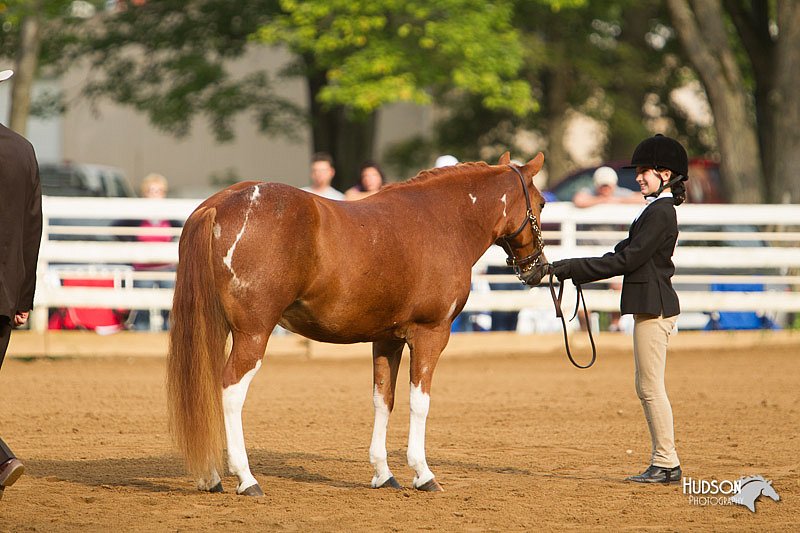 4H-Districts-11_1351.jpg