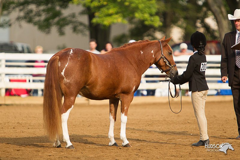 4H-Districts-11_1352.jpg