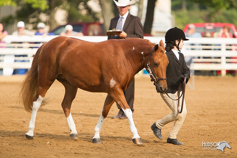 4H-Districts-11_1353.jpg