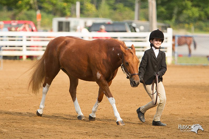 4H-Districts-11_1354.jpg