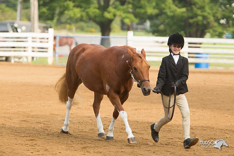 4H-Districts-11_1355.jpg
