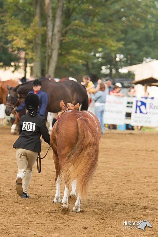 4H-Districts-11_1359.jpg