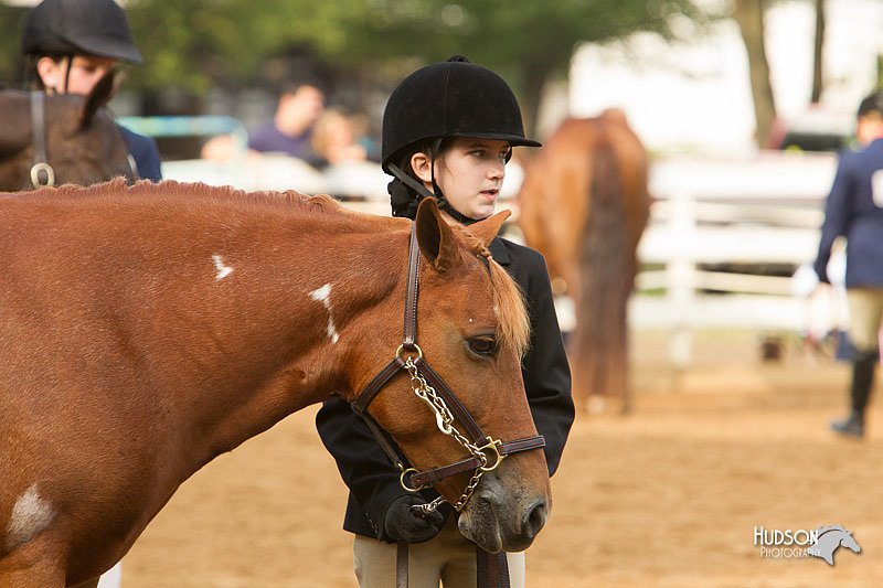 4H-Districts-11_1361.jpg