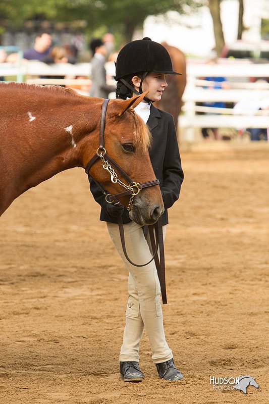 4H-Districts-11_1362.jpg