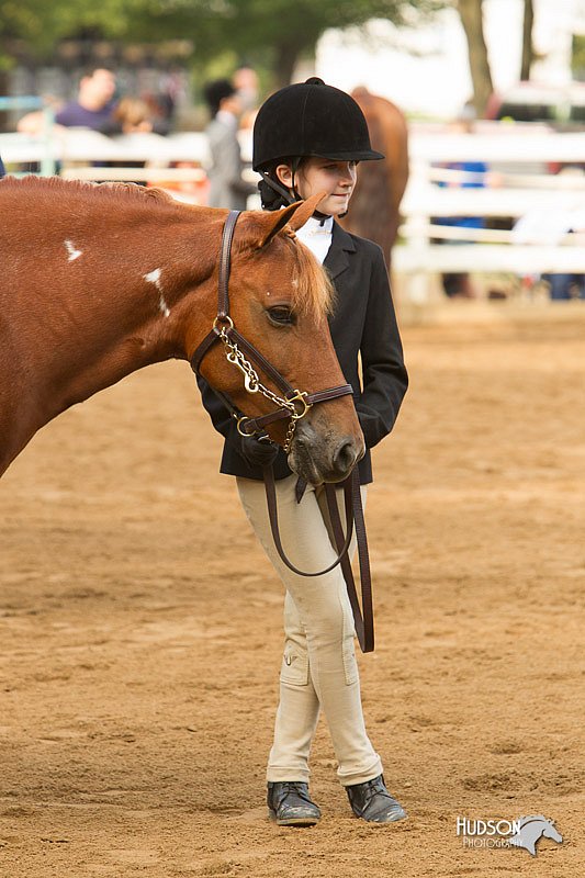 4H-Districts-11_1363.jpg