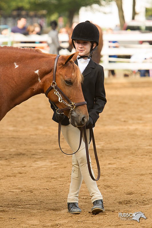 4H-Districts-11_1364.jpg