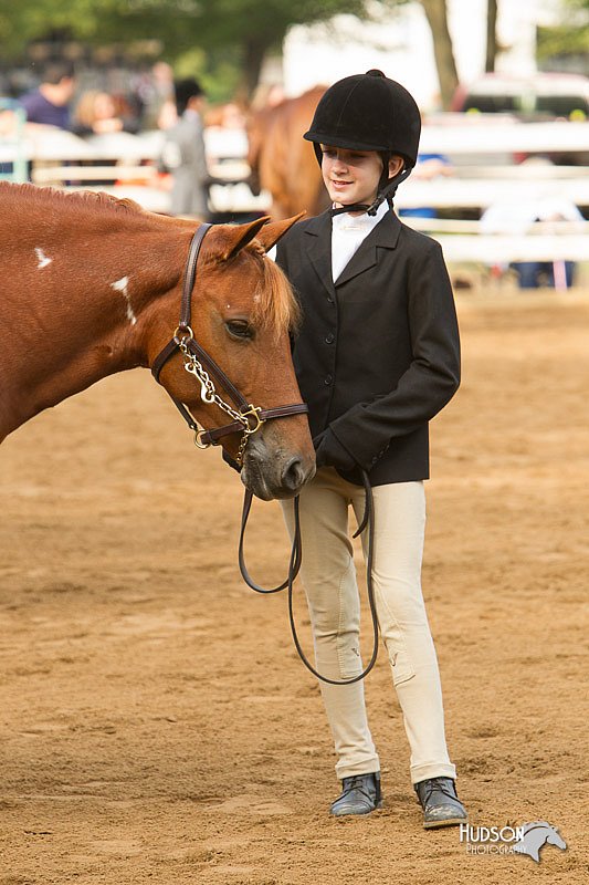 4H-Districts-11_1365.jpg