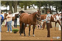 4H-Districts-11_0568.jpg