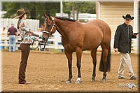 4H-Districts-11_0574.jpg