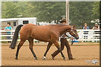 4H-Districts-11_0575.jpg