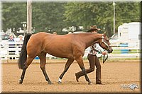 4H-Districts-11_0576.jpg