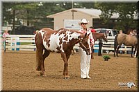 4H-Districts-11_0578.jpg