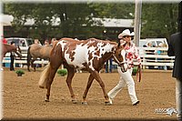 4H-Districts-11_0580.jpg