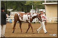 4H-Districts-11_0581.jpg