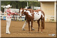 4H-Districts-11_0584.jpg