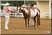 4H-Districts-11_0585.jpg