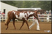 4H-Districts-11_0586.jpg