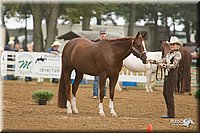 4H-Districts-11_0588.jpg