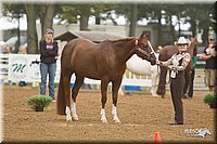 4H-Districts-11_0589.jpg