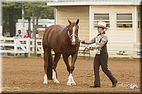 4H-Districts-11_0594.jpg