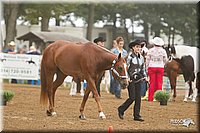 4H-Districts-11_0600.jpg