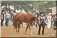 4H-Districts-11_0601.jpg