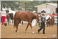 4H-Districts-11_0602.jpg