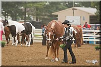 4H-Districts-11_0603.jpg