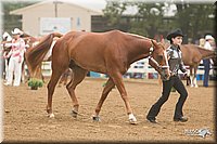 4H-Districts-11_0604.jpg
