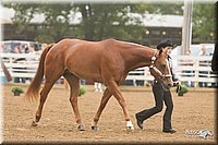 4H-Districts-11_0605.jpg