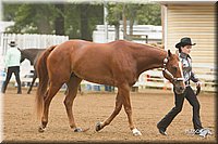 4H-Districts-11_0606.jpg