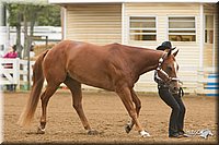 4H-Districts-11_0607.jpg