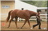 4H-Districts-11_0611.jpg