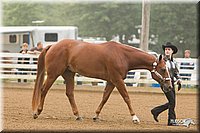 4H-Districts-11_0612.jpg