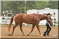 4H-Districts-11_0613.jpg
