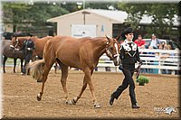 4H-Districts-11_0615.jpg