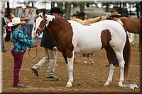 4H-Districts-11_0644.jpg