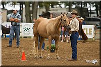4H-Districts-11_0647.jpg