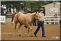 4H-Districts-11_0648.jpg