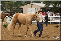 4H-Districts-11_0649.jpg