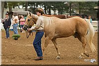4H-Districts-11_0654.jpg