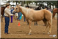 4H-Districts-11_0655.jpg