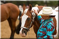 4H-Districts-11_0660.jpg