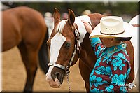 4H-Districts-11_0661.jpg